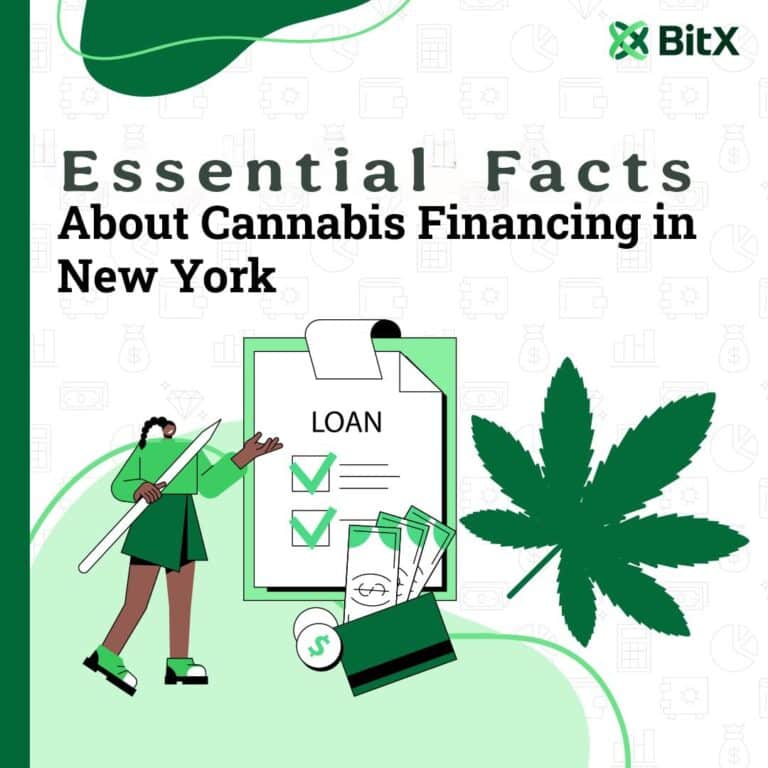 Essential Facts About Cannabis Financing in New York